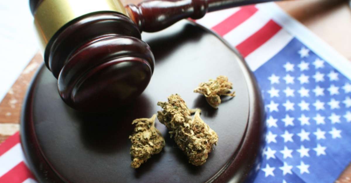 Cannabis Packaging Compliance Requirements