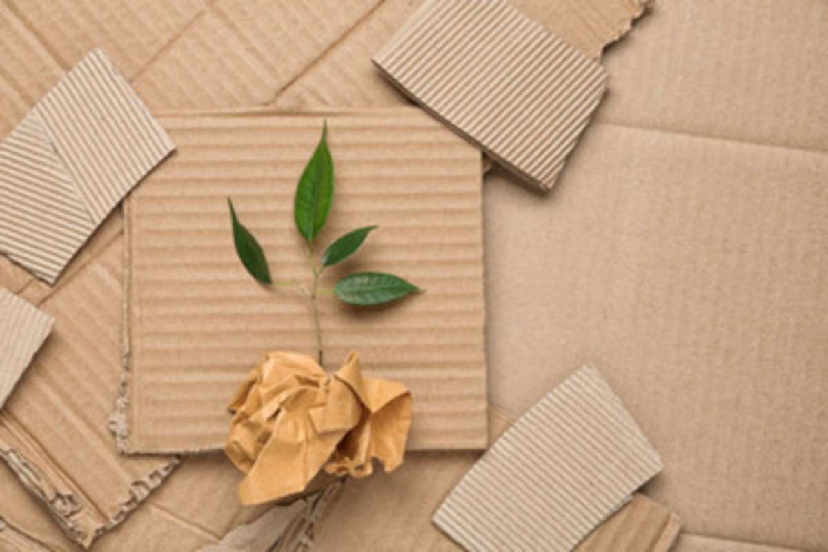 Sustainable Packaging Trends of 2022