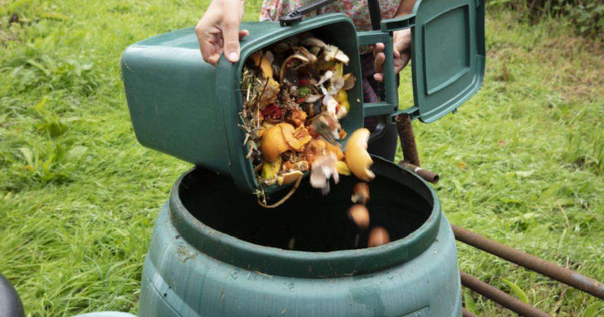 Here's What You Need to Know About Compostable Packaging
